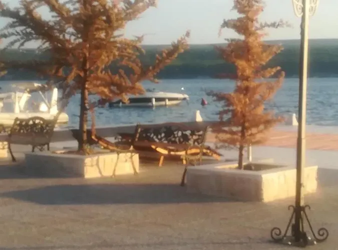 Aria & Amadea