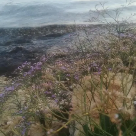 Aria & Amadea Apartamento