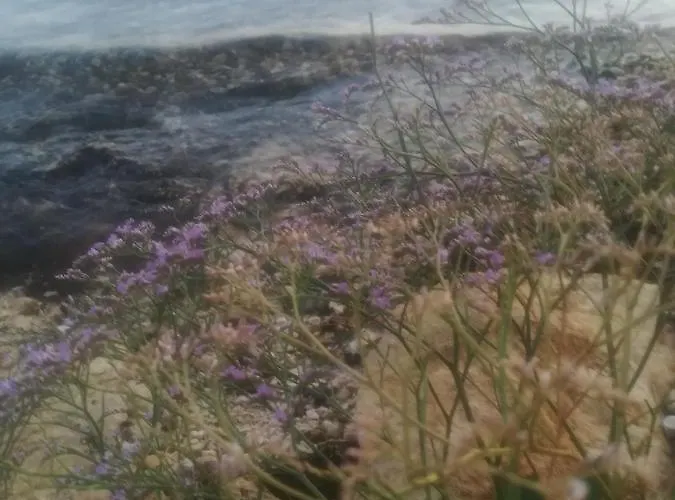 Aria & Amadea Apartmán